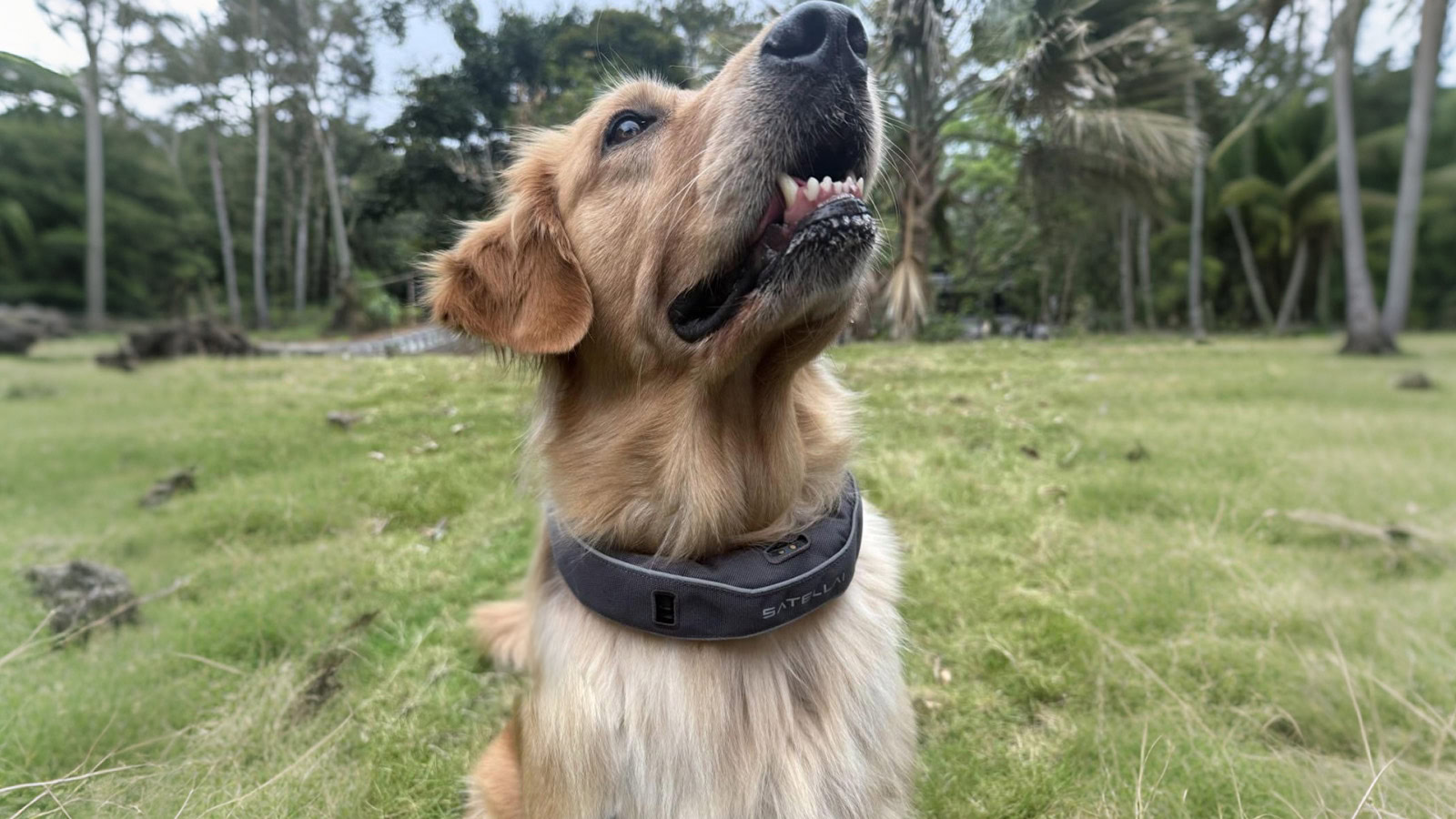 colar satélite colar satélite