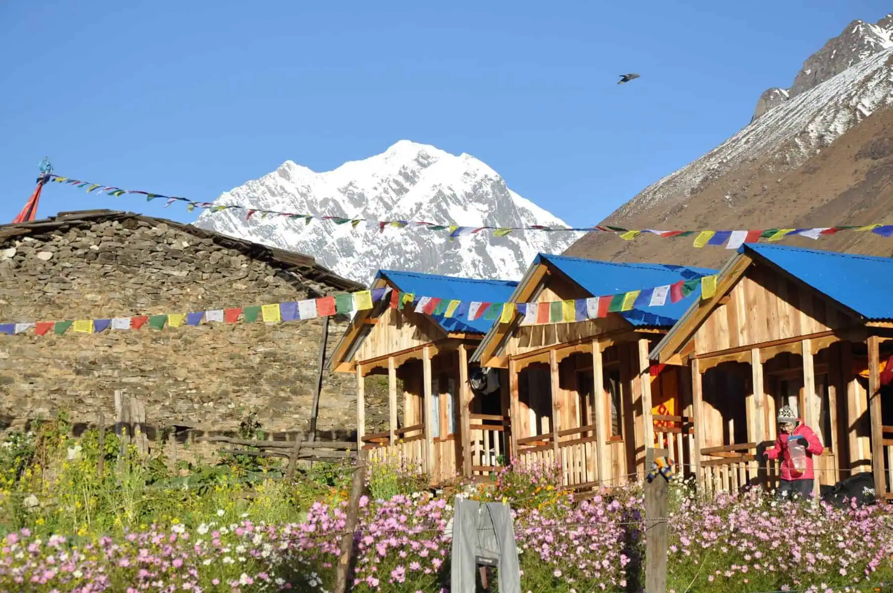 Manaslu Circuit Trek - Para quem é o Manaslu Circuit Trek? Para quem é a jornada Manaslu? Pousada no Circuito Manaslu Trek.