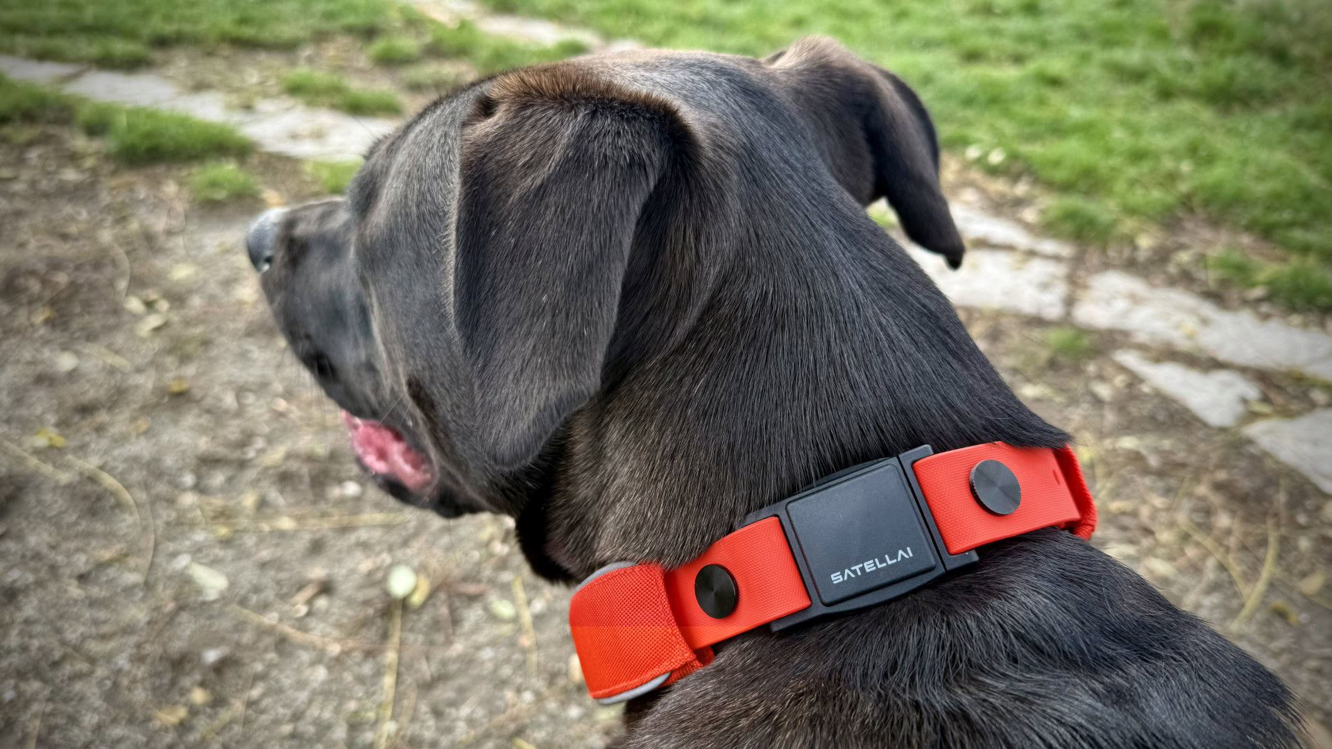 Satélite 3 Satélite 3