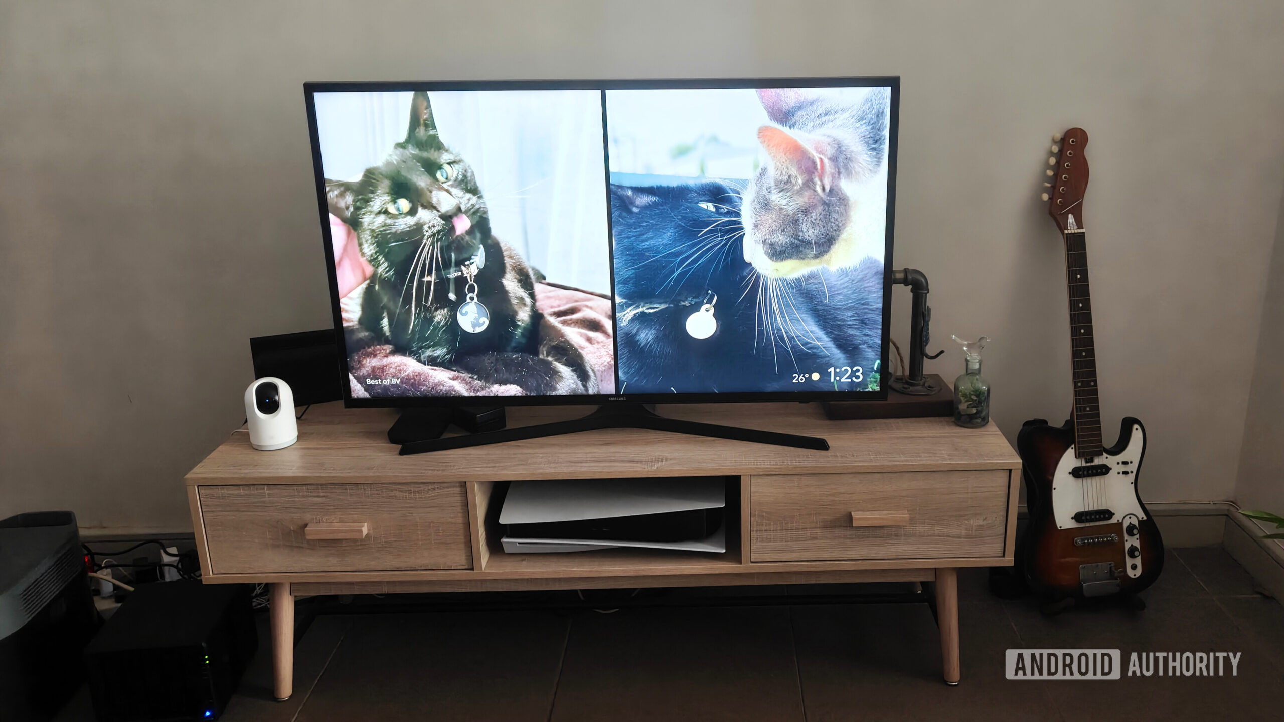 uma tv com fotos de gatos na tela uma tv com fotos de gatos na tela