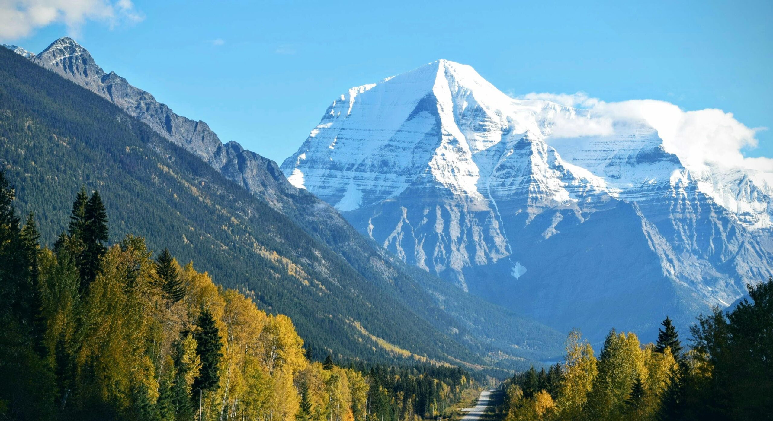 Teste de imagem AI 5