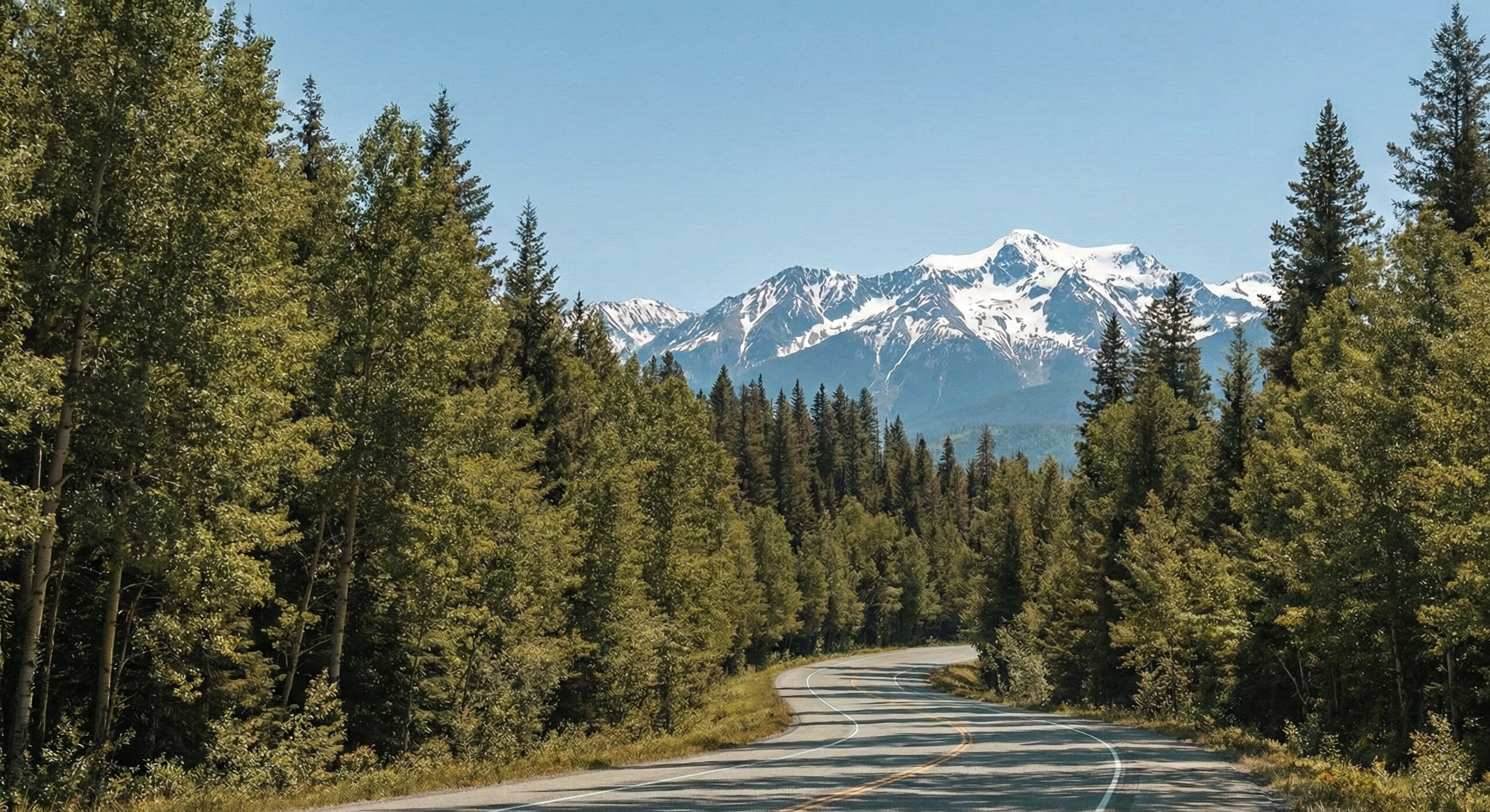 Teste de imagem AI 5