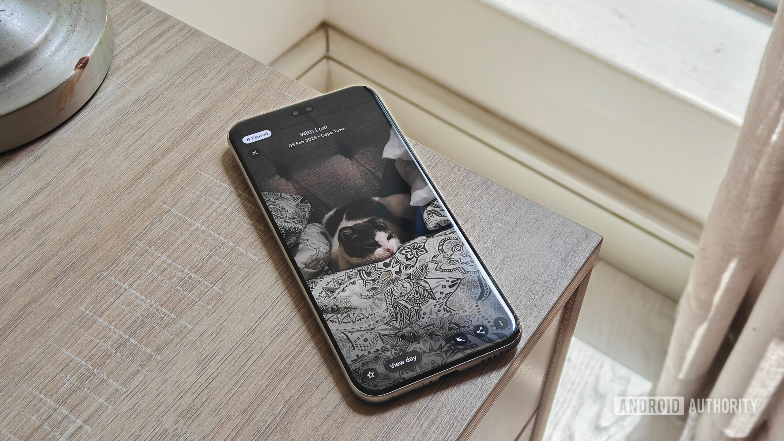 uma lembrança no google fotos mostrando um gato