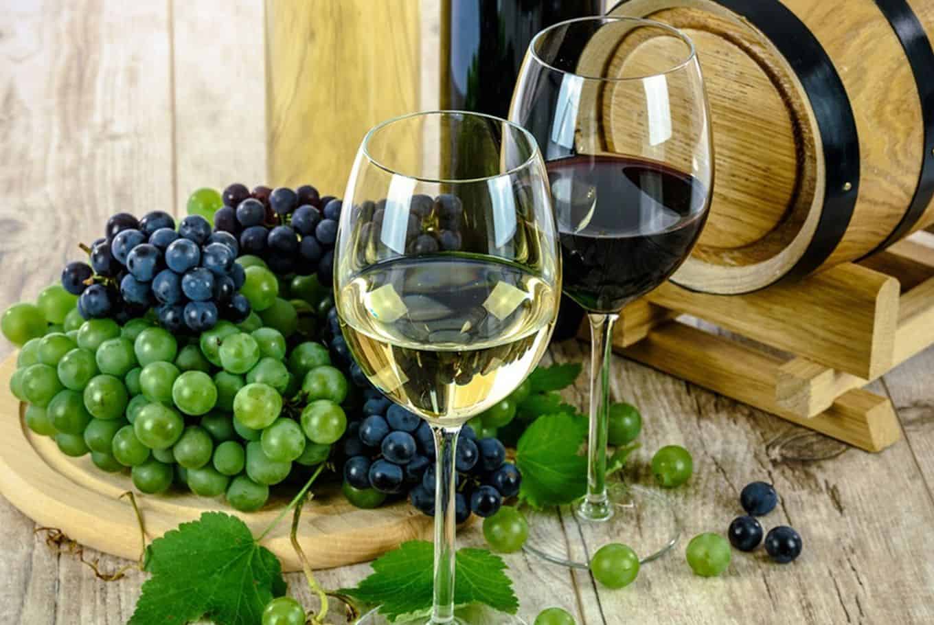 Degustação de vinhos em Barcelona, ​​Espanha