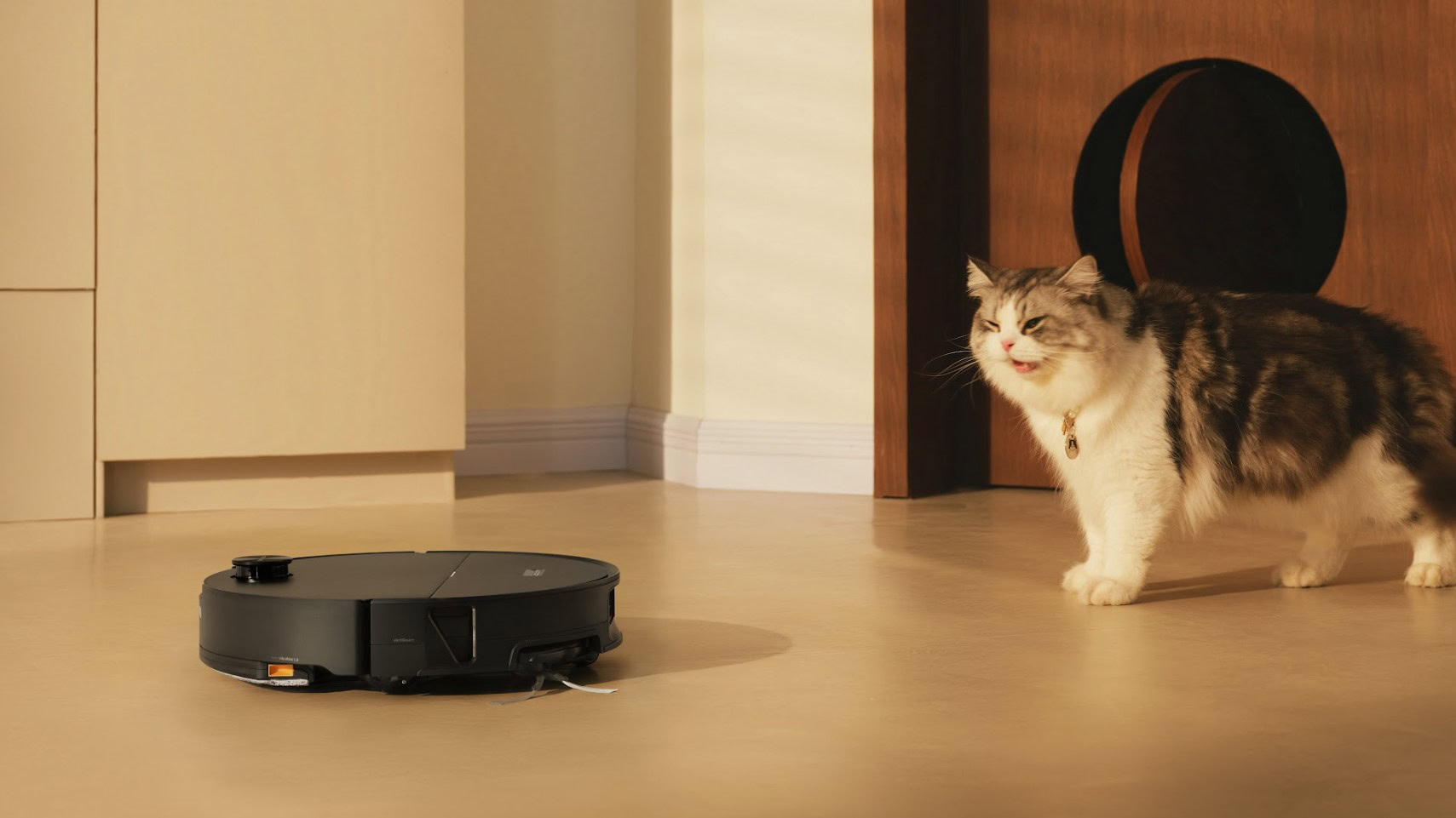 roborock saros 20 sonic gato irritado