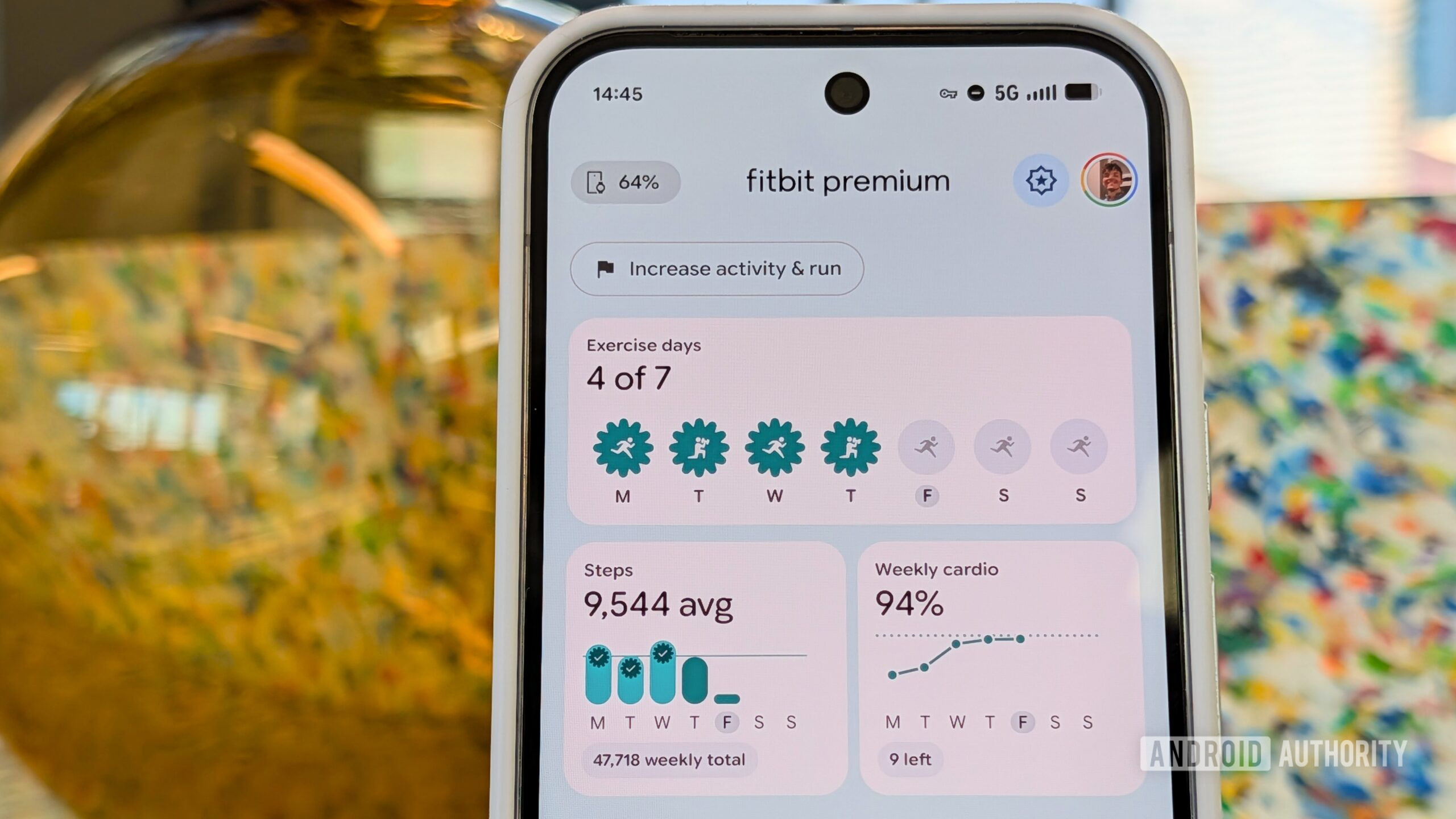 Exemplo de dias de exercícios do Google Fitbit Fitness