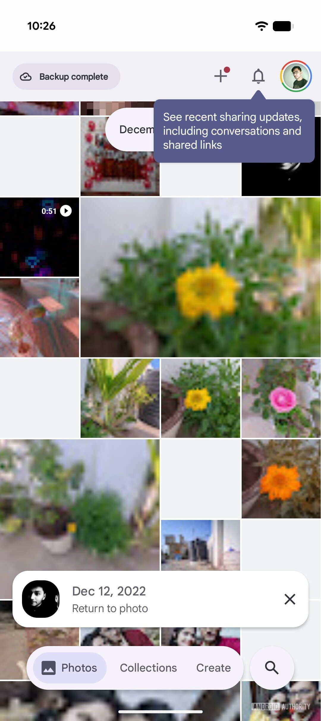 Dia de visualização do Google Fotos