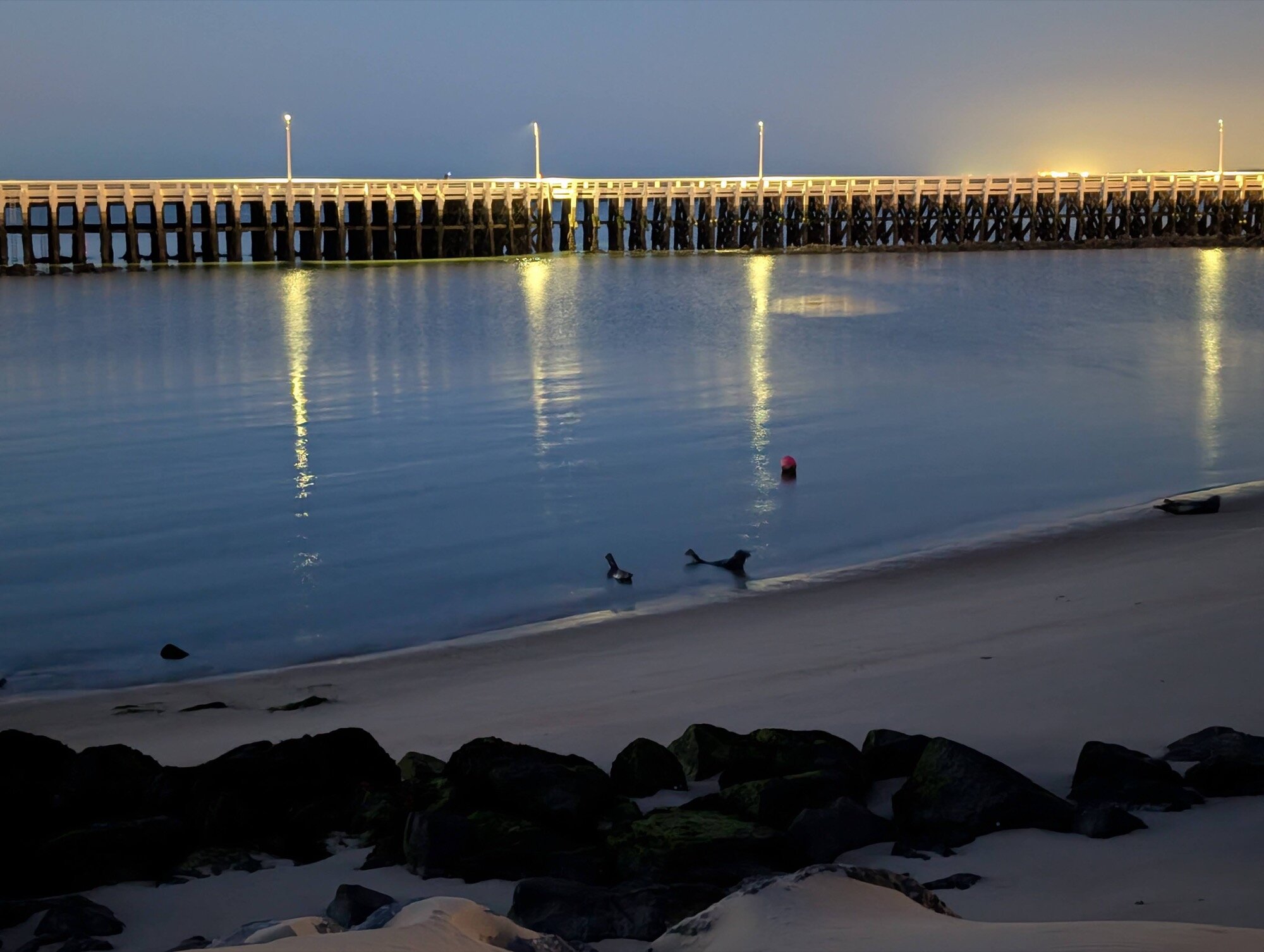 Google Pixel 10 Pro XL sela amostra de câmera de visão noturna