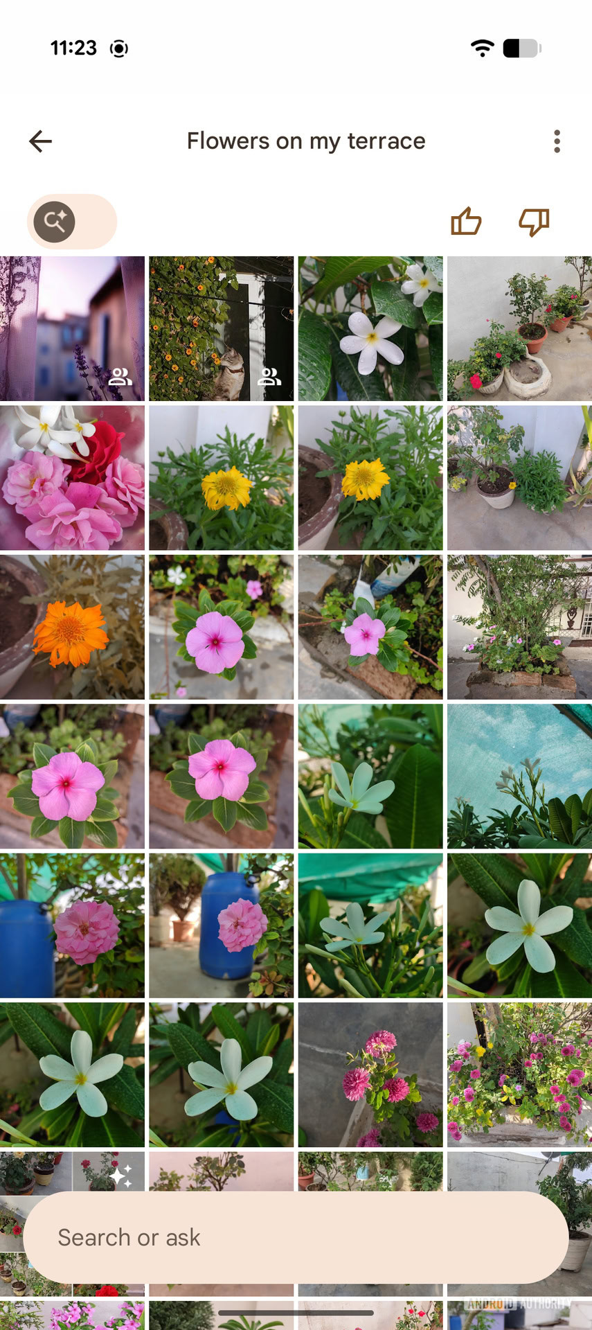 Mudanças na interface do Google Photos Ask Photos (5)
