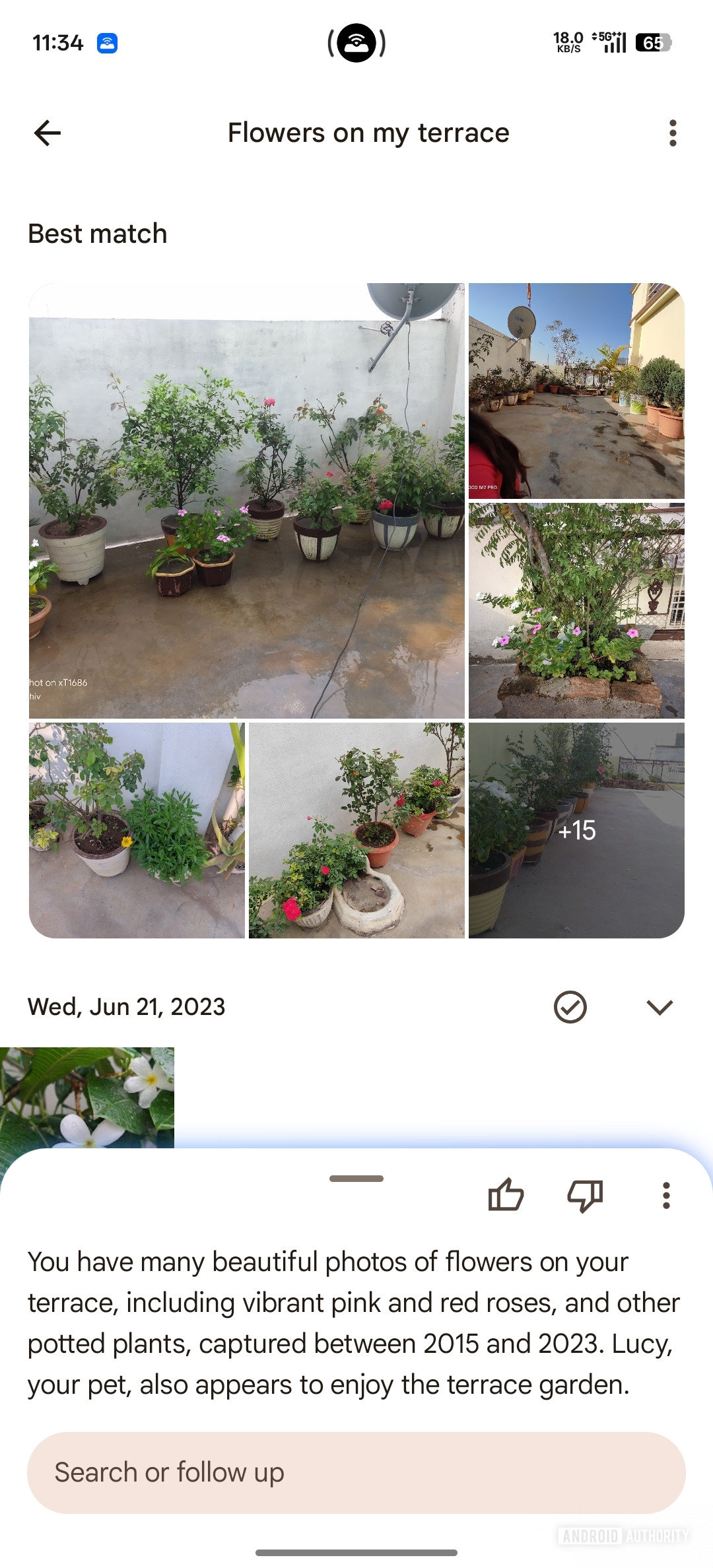 Mudanças na interface do Google Photos Ask Photos (4)