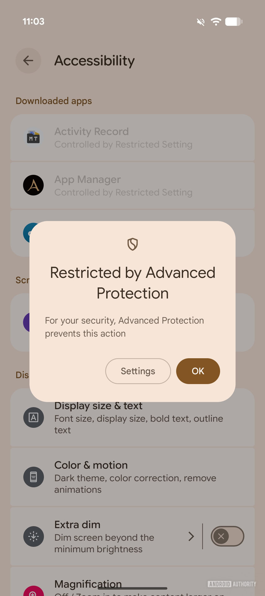 Alterações no modo de proteção avançada do Android Canary 2602 sem ferramentas de acessibilidade (2)