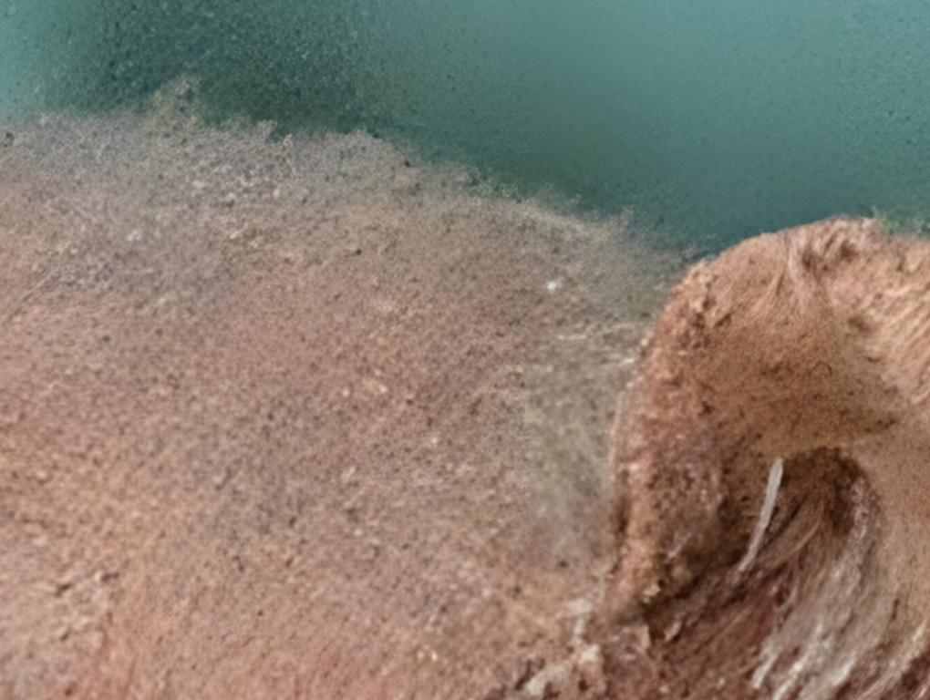 Pixel 10 Pro XL 10x detalhes com pouca luz