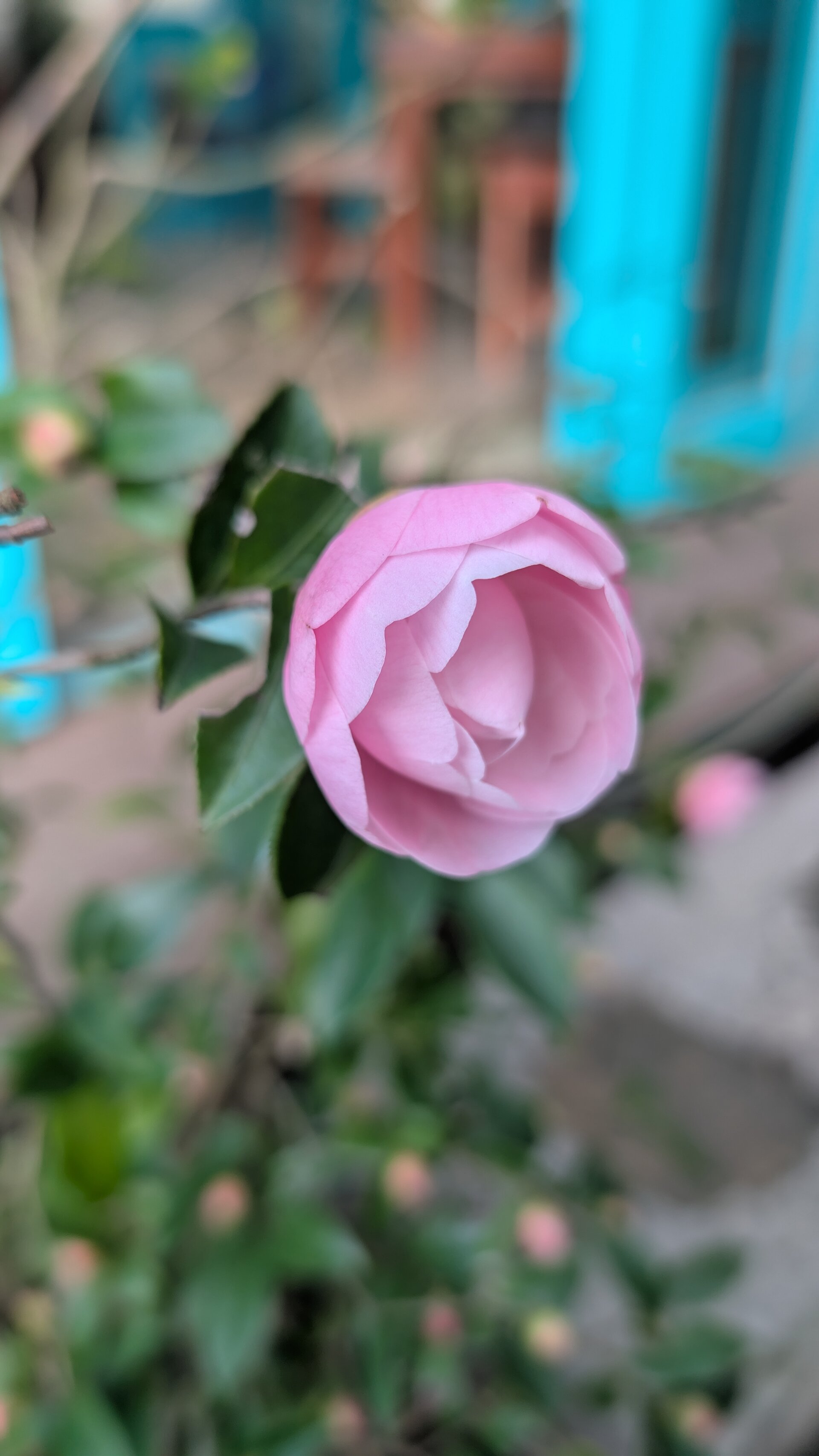 Papel de Parede Jiufen 3