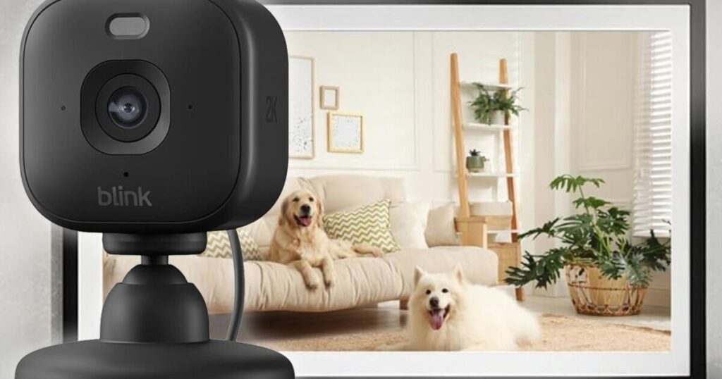 Esqueça o Ring, a Amazon oferece uma maneira mais barata de proteger sua casa