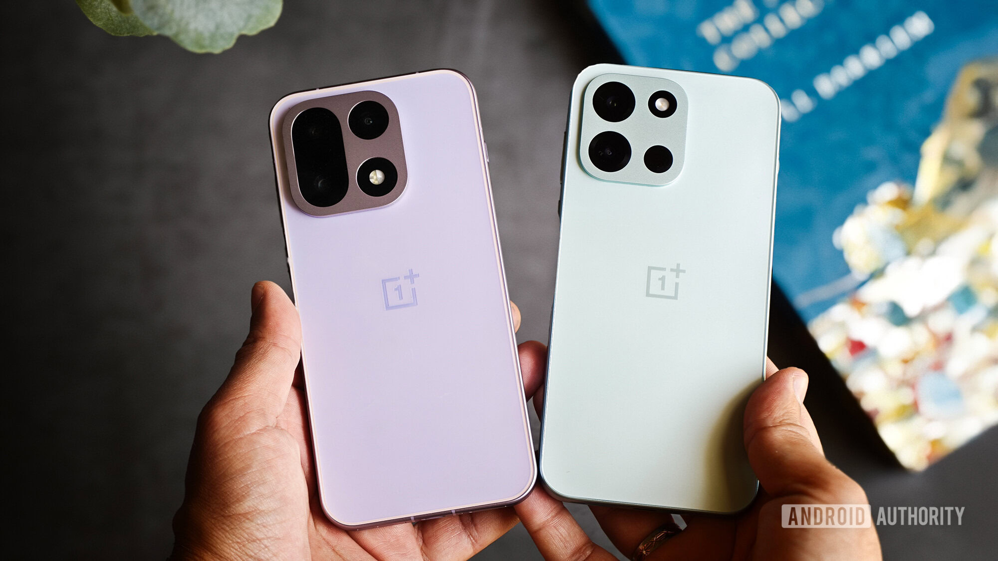 OnePlus Nord 6 vs OnePlus 15